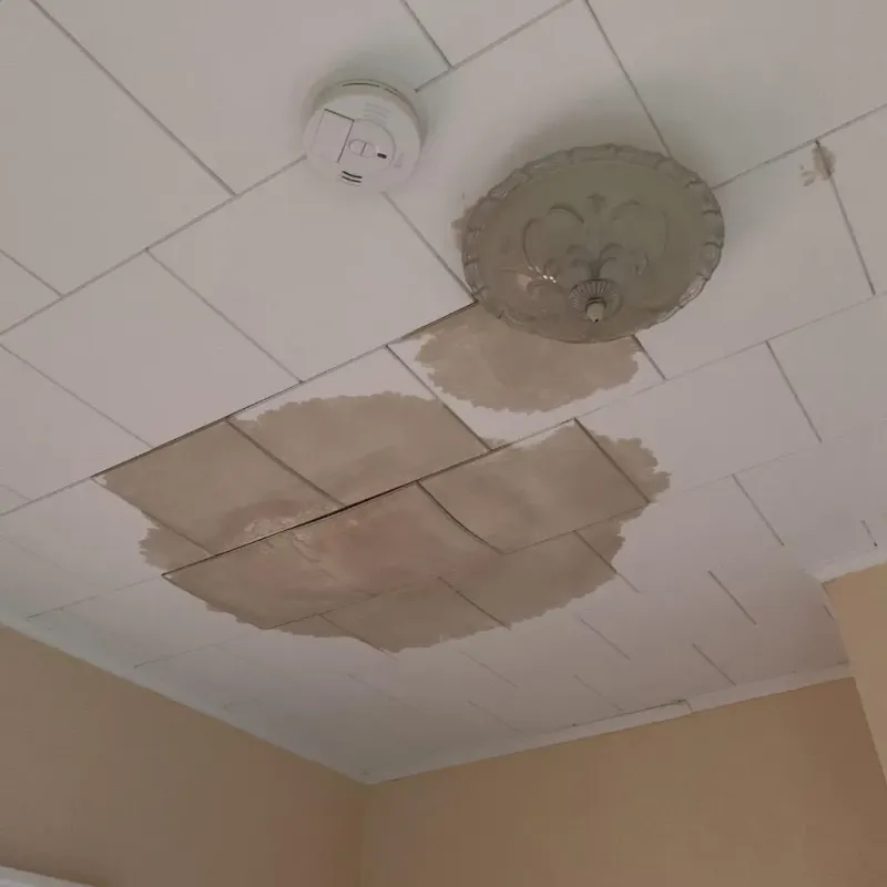 Ceiling Water Damage Repair in Warroad, MN